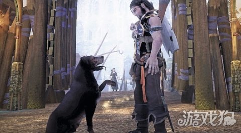 《神鬼寓言4》没有狗狗伙伴 开发人员也感到失望