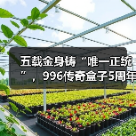 五载金身铸“唯一正统”，996传奇盒子5周年：万境归盒，传奇不灭（图2）