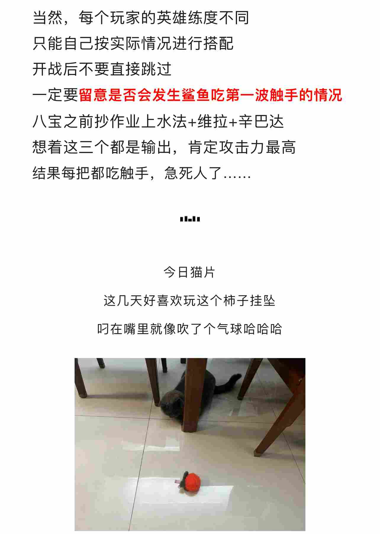 剑与远征：启程【远征八宝袋】鲨鱼吃人机制大揭秘